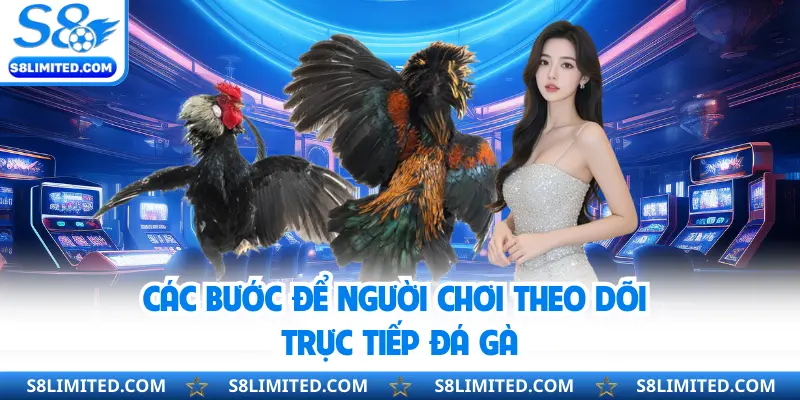 Các bước để người chơi theo dõi trực tiếp đá gà