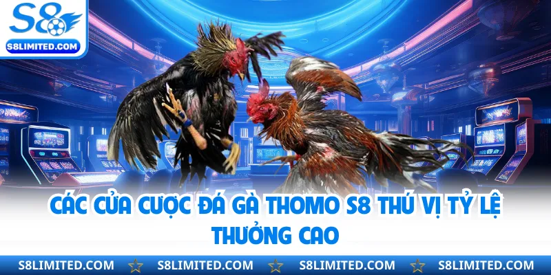 Các cửa cược đá gà Thomo S8 thú vị tỷ lệ thưởng cao