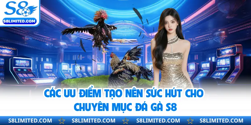 Các ưu điểm tạo nên sức hút cho chuyên mục đá gà S8