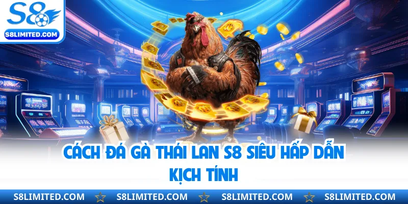 Cách đá gà Thái Lan S8 siêu hấp dẫn kịch tính