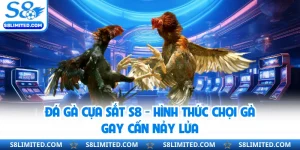 Đá Gà Cựa Sắt S8 - Hình Thức Chọi Gà Gay Cấn Nảy Lửa