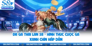 Đá Gà Thái Lan S8 - Hình Thức Cược Gà Xanh Chín Hấp Dẫn