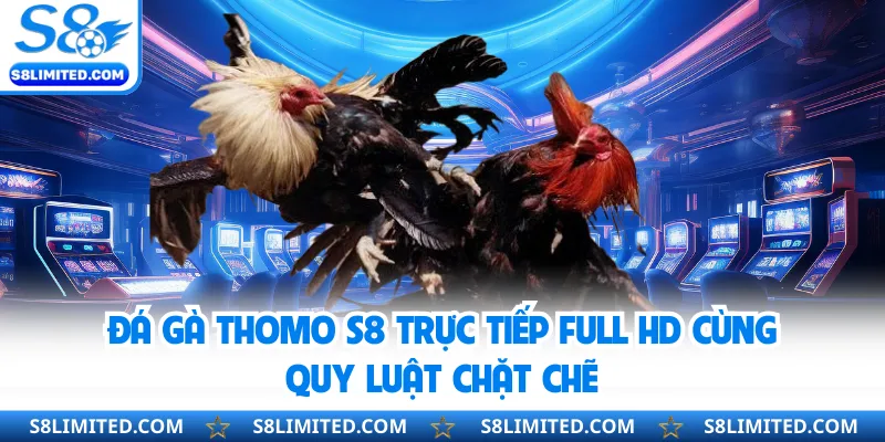 Đá Gà Thomo S8 Trực Tiếp Full HD Cùng Quy Luật Chặt Chẽ