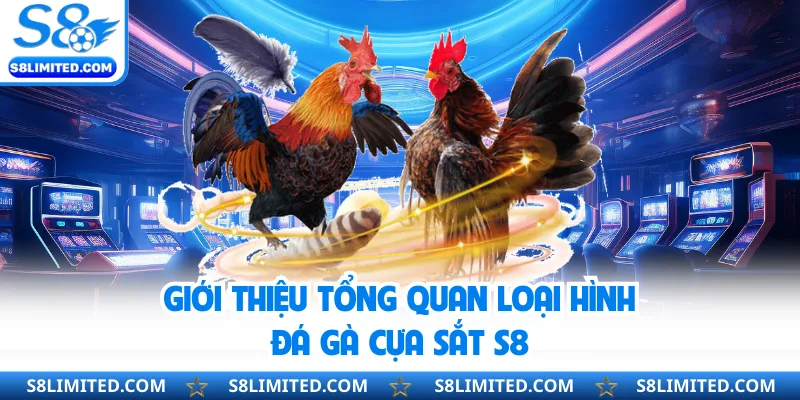 Giới thiệu tổng quan loại hình đá gà cựa sắt S8