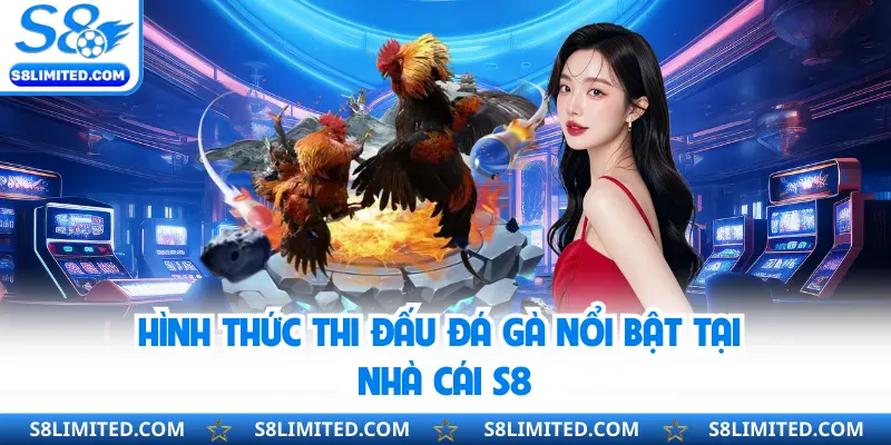 Hình thức thi đấu đá gà nổi bật tại nhà cái S8