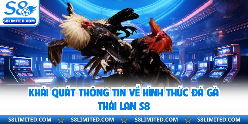 Khái quát thông tin về hình thức đá gà Thái Lan S8