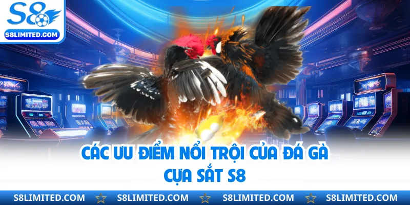 Các ưu điểm nổi trội của đá gà cựa sắt S8