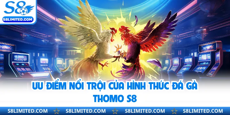 Ưu điểm nổi trội của hình thức đá gà Thomo S8